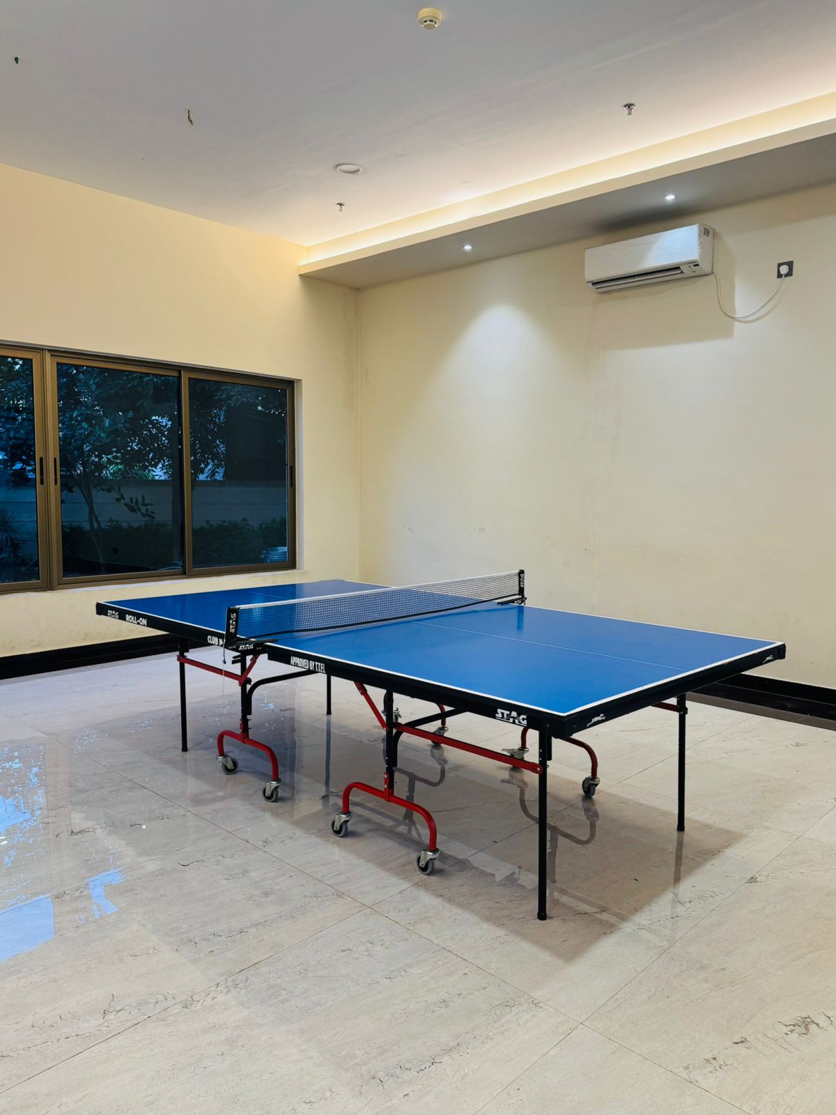Table Tennis